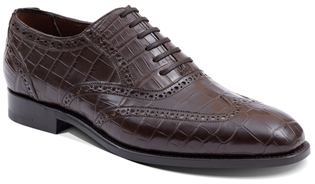 Grosvenor - Coccodrillo marrone