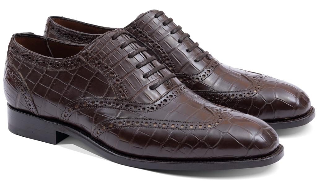 Grosvenor - Coccodrillo marrone