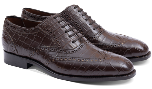 Grosvenor - Coccodrillo marrone