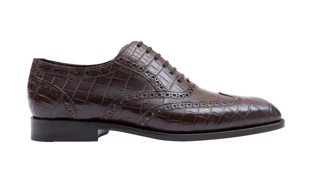 Grosvenor - Coccodrillo marrone