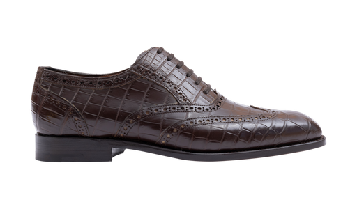 Grosvenor - Coccodrillo marrone