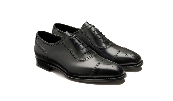 Warwick - Vitello nero