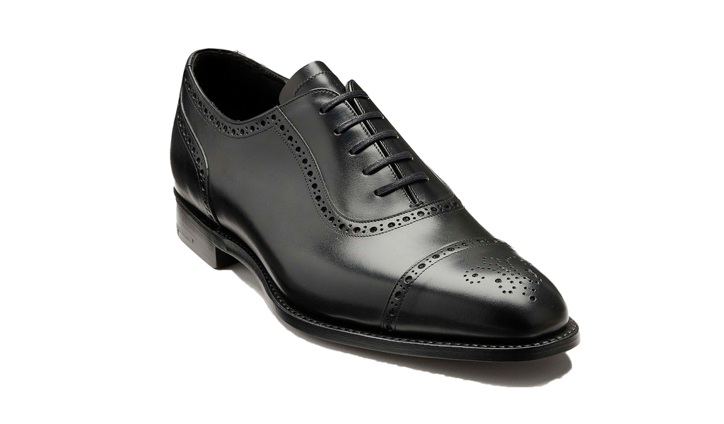 Warwick - Vitello nero