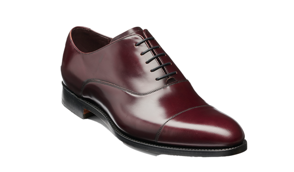 Warnford - Marrone lucido