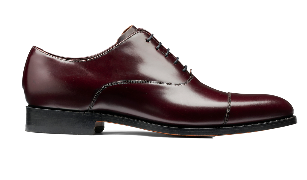 Warnford - Marrone lucido
