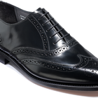 Chancery - Black Hi-Shine