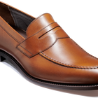 St Pauls - Walnoot Kalf