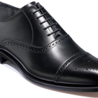 Holland Park - Czarna łydka