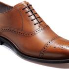 Holland Park - Orzech Cielęcy