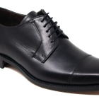 Powell - Cielę Czarna Panda